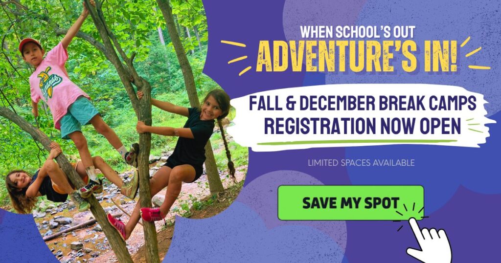 Popup for Schools Out and December Break Camp Registration